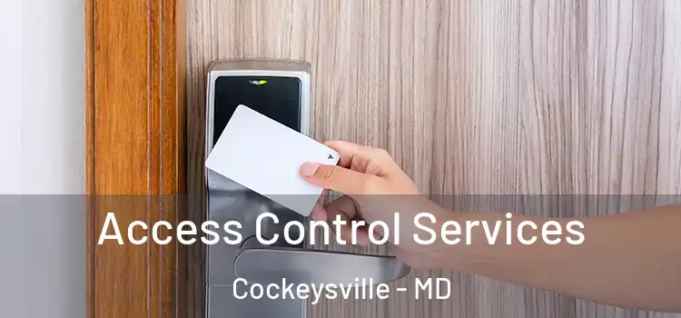  Access Control Services Cockeysville - MD