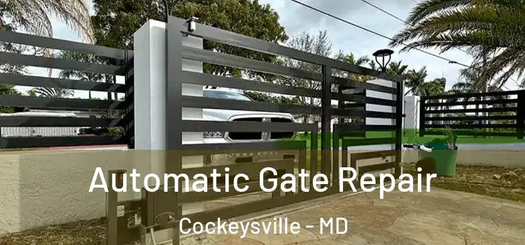  Automatic Gate Repair Cockeysville - MD