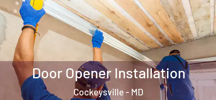  Door Opener Installation Cockeysville - MD
