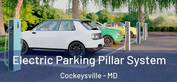  Electric Parking Pillar System Cockeysville - MD