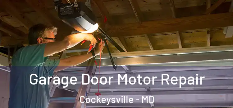  Garage Door Motor Repair Cockeysville - MD