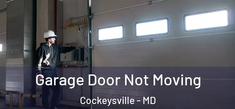  Garage Door Not Moving Cockeysville - MD