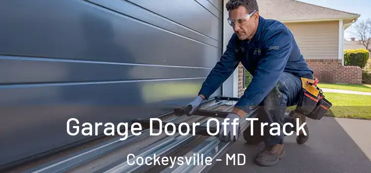  Garage Door Off Track Cockeysville - MD