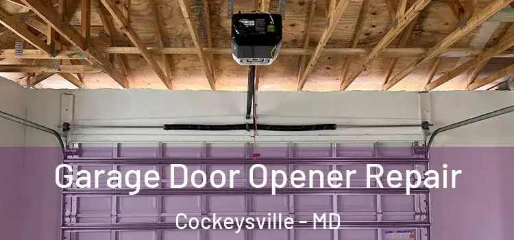  Garage Door Opener Repair Cockeysville - MD