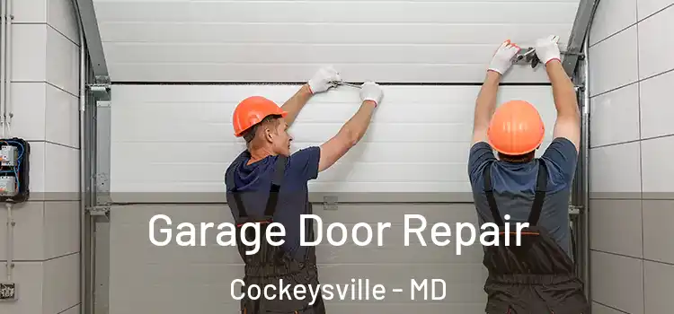  Garage Door Repair Cockeysville - MD