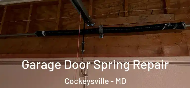  Garage Door Spring Repair Cockeysville - MD