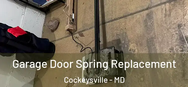  Garage Door Spring Replacement Cockeysville - MD