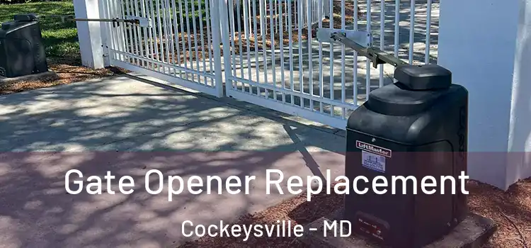  Gate Opener Replacement Cockeysville - MD