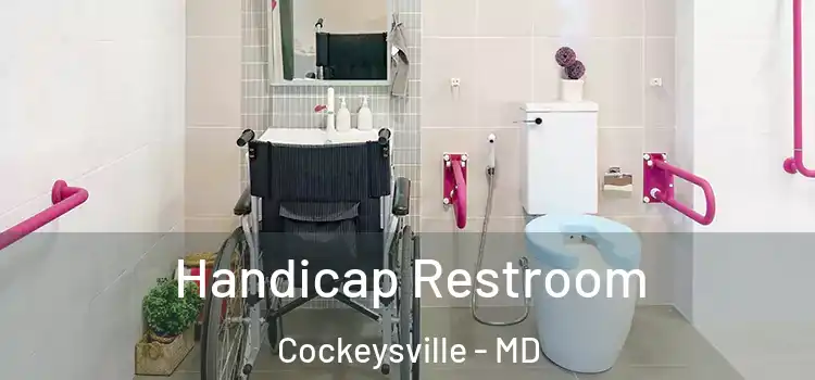  Handicap Restroom Cockeysville - MD