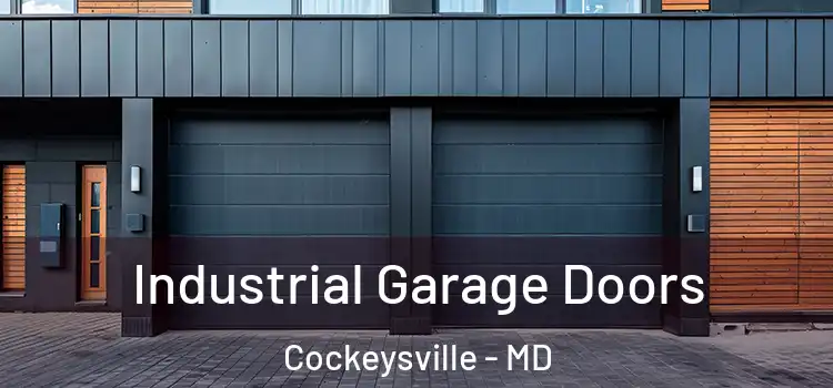  Industrial Garage Doors Cockeysville - MD