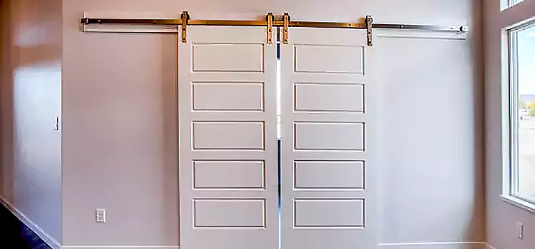 Glass Barn Door with Installation Hardware Kit Cockeysville