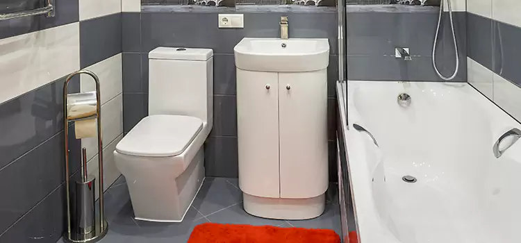Hansgrohe Shaving Mirror Cockeysville