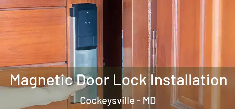  Magnetic Door Lock Installation Cockeysville - MD