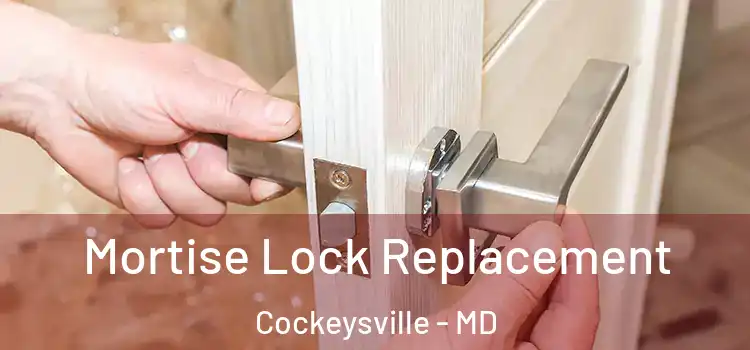 Mortise Lock Replacement Cockeysville - MD