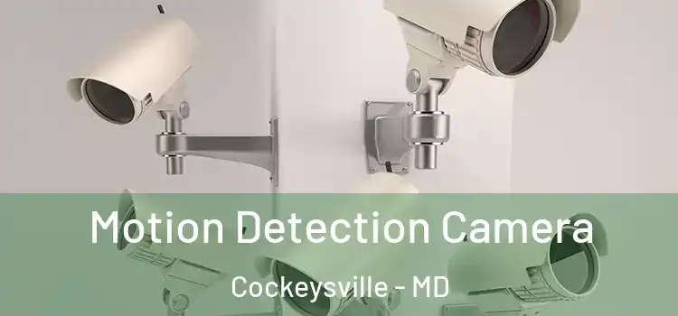 Motion Detection Camera Cockeysville - MD