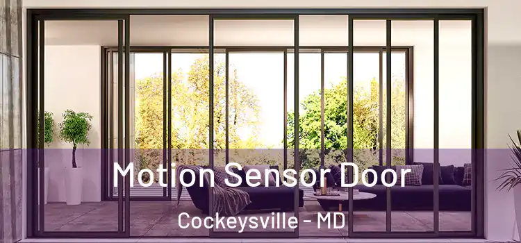  Motion Sensor Door Cockeysville - MD
