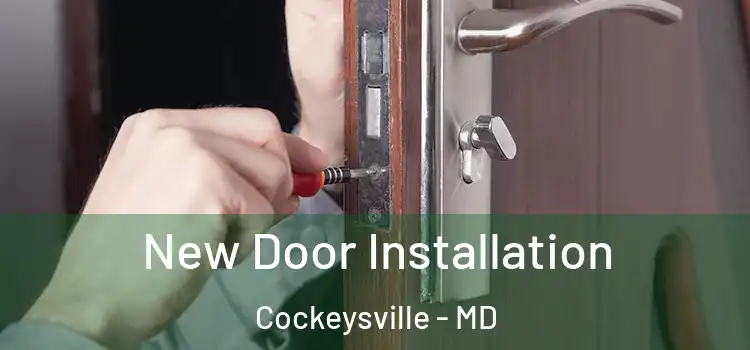  New Door Installation Cockeysville - MD