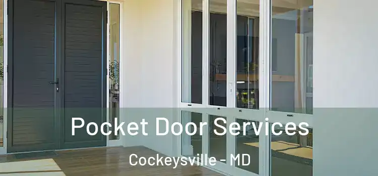  Pocket Door Services Cockeysville - MD