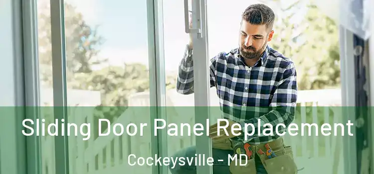  Sliding Door Panel Replacement Cockeysville - MD